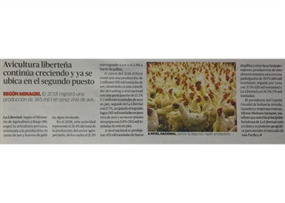 Avicultura liberteña sigue alzando vuelo (Fuente: La República)