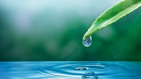 Gestión inteligente del agua con un enfoque medioambiental