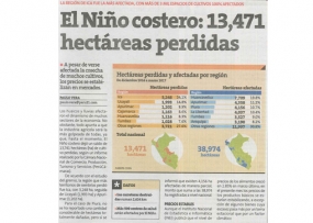 El Niño costero: 13,471 hectáreas perdidas (Fuente: Perú21)