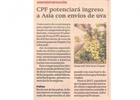 CPF potenciará ingreso a Asia con envíos de uva (Fuente: Gestión)