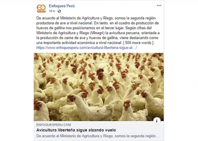 Avicultura liberteña sigue alzando vuelo (Fuente: Enfoques Perú Facebok)