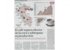 El café supera efectos de la roya y sobrepasa su producción (Fuente: La República)