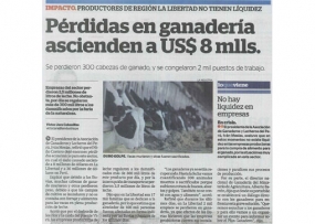 Pérdidas en ganadería ascienden a US$ 8 mlls. (Fuente: La Industria)