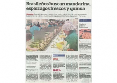 Brasileños buscan mandarina, espárragos frescos y quinua (Fuente: La Industria)