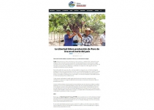 La Libertad lidera producción de Puro de Uva en el norte peruano (Fuente: News Trujillo)