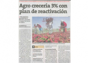 Agro crecería 3 % con plan de reactivación (Fuente: Perú21)