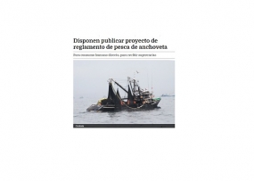 Disponen publicar proyecto de reglamento de pesca de anchoveta (Fuente: Andina)