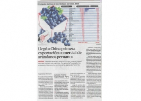 Llegó a China primera exportación comercial de arándanos peruanos (Fuente: La República)