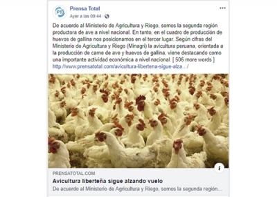 Avicultura liberteña sigue alzando vuelo (Fuente: Prensa Total)