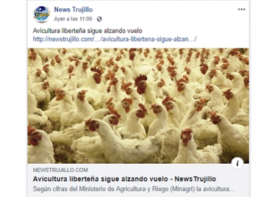 Avicultura liberteña sigue alzando vuelo (Fuente: News Trujillo)