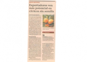 Exportadores ven más potencial en cítricos sin semilla (Fuente: Gestión)