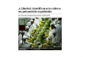 La Libertad: identifican seis cadenas con potencial de exportación (Fuente: Andina)