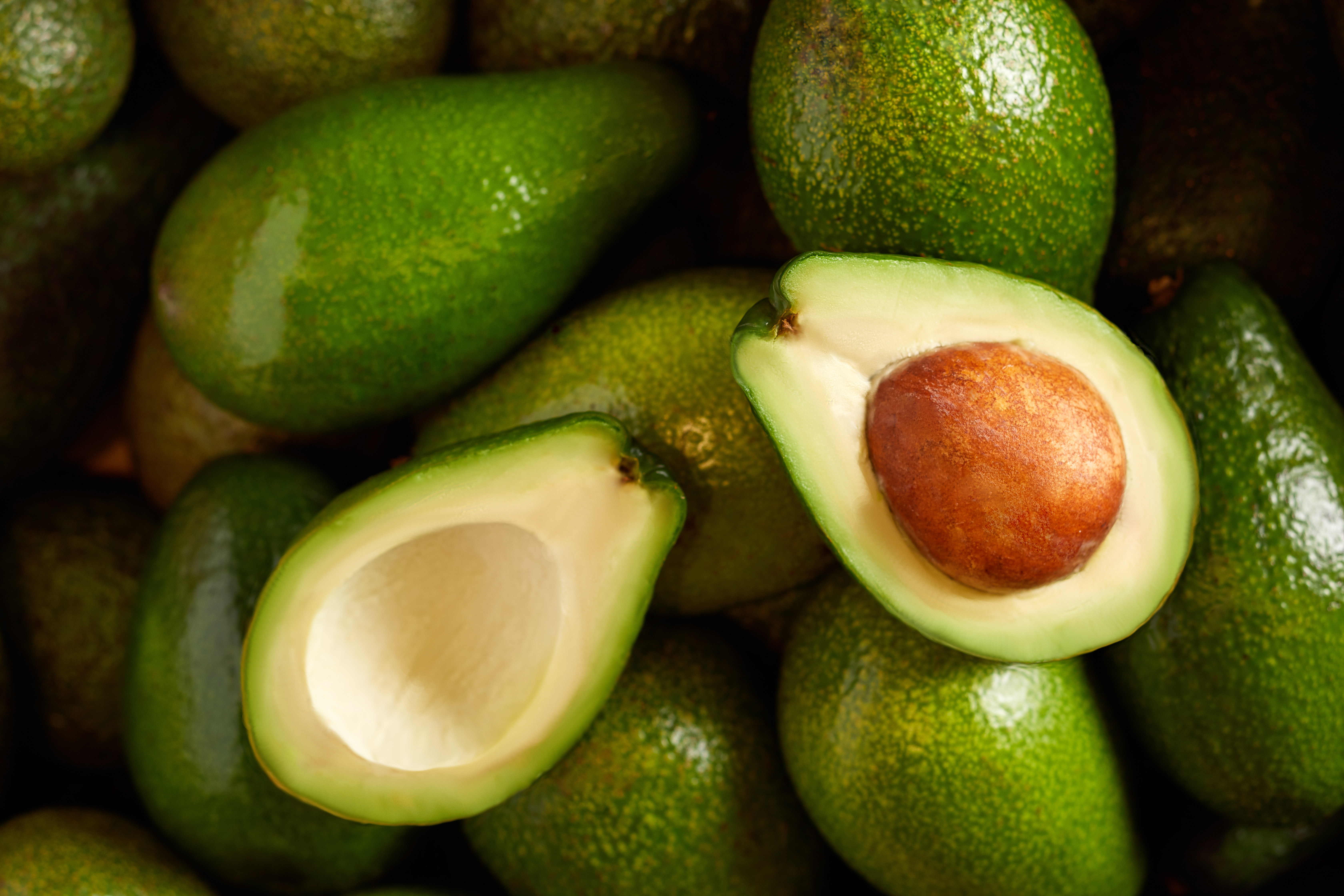 agroexportacion lalibertad palta avocado
